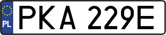 PKA229E