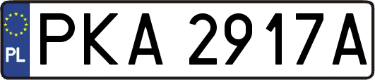 PKA2917A