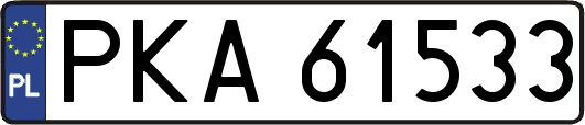 PKA61533