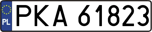 PKA61823