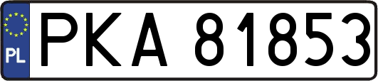 PKA81853