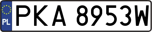 PKA8953W