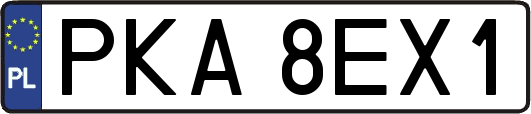 PKA8EX1