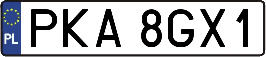 PKA8GX1