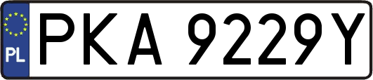 PKA9229Y