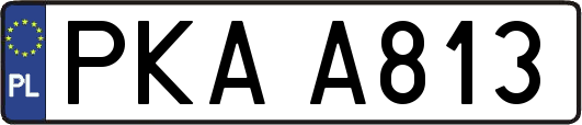 PKAA813