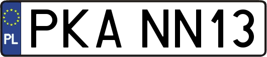 PKANN13