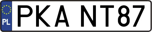 PKANT87