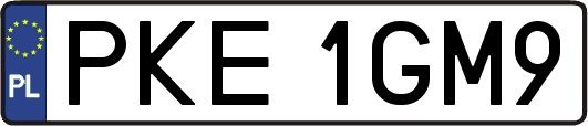 PKE1GM9