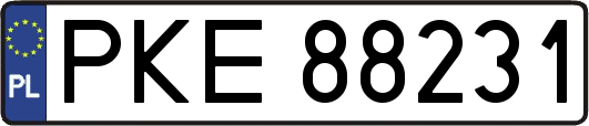 PKE88231