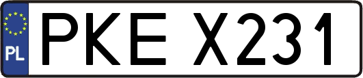 PKEX231