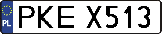 PKEX513