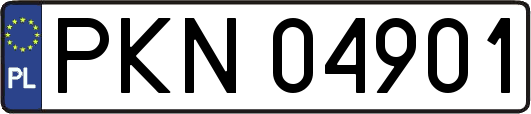 PKN04901