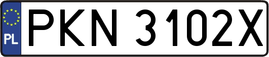 PKN3102X