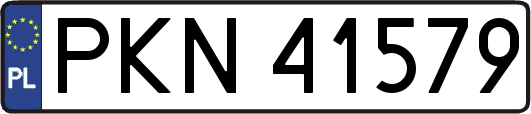 PKN41579