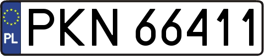PKN66411