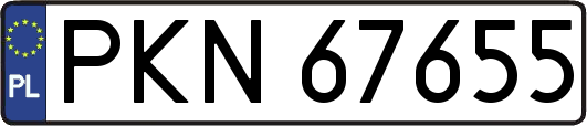 PKN67655