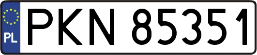 PKN85351
