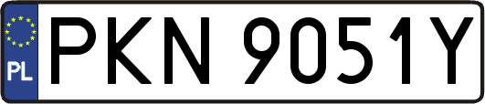 PKN9051Y