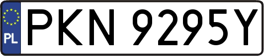 PKN9295Y