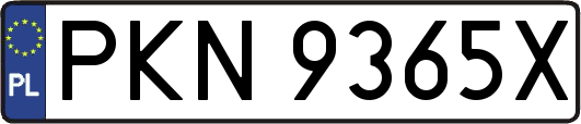 PKN9365X