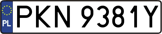 PKN9381Y