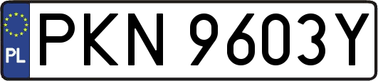 PKN9603Y