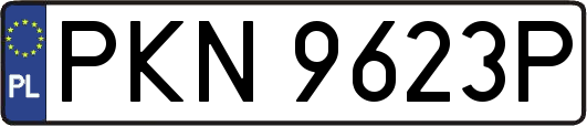 PKN9623P