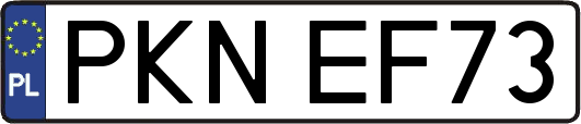 PKNEF73