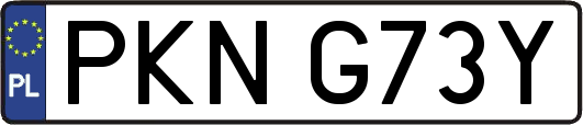 PKNG73Y