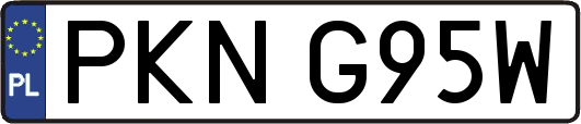 PKNG95W