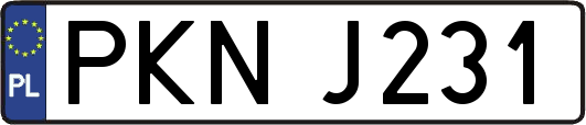 PKNJ231