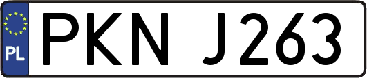 PKNJ263