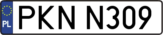 PKNN309