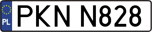 PKNN828