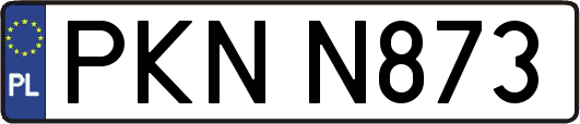 PKNN873