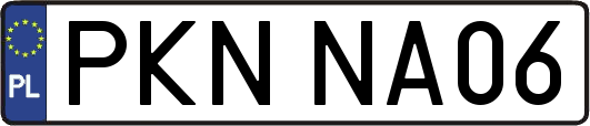 PKNNA06