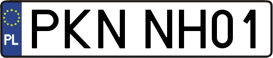 PKNNH01