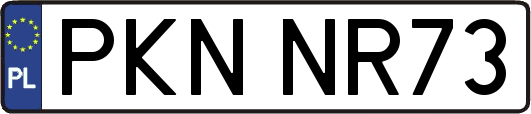 PKNNR73