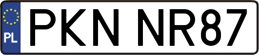 PKNNR87