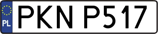 PKNP517
