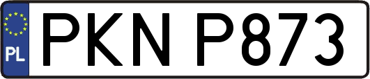 PKNP873