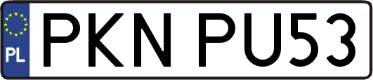 PKNPU53