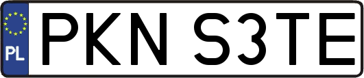 PKNS3TE