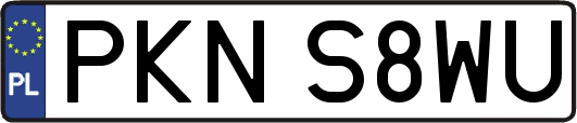 PKNS8WU