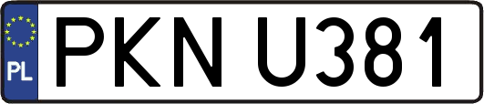 PKNU381