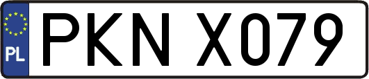 PKNX079