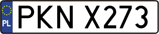 PKNX273