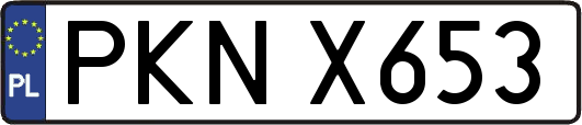 PKNX653