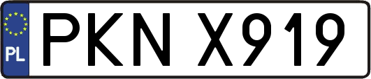 PKNX919